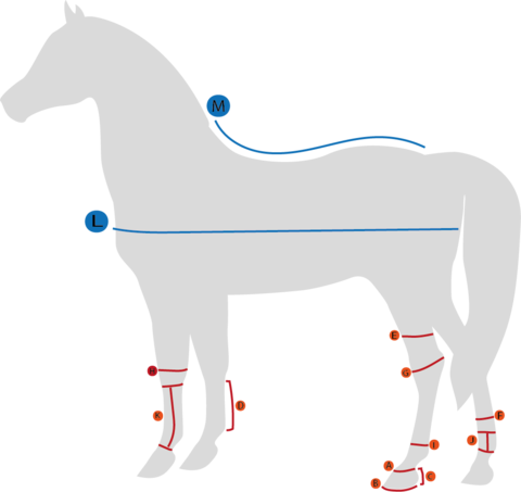 Back on Track Sienna verkkoloimi hevoselle 145 cm