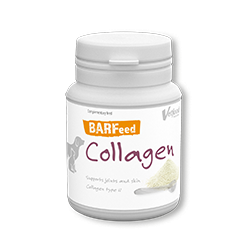 BARFeed Collagen 60 g