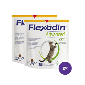 Flexadin advanced kissalle 2 x 30 purutablettia TUPLAPAKKAUS