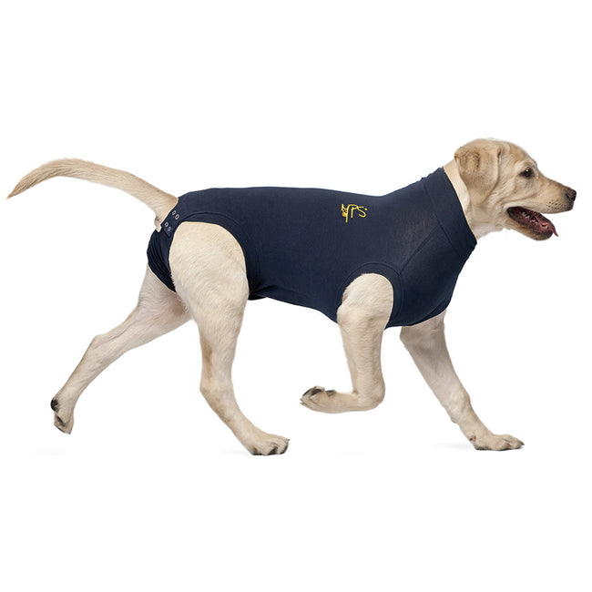 Medical Pet Shirt -toipilaspaita koirille M