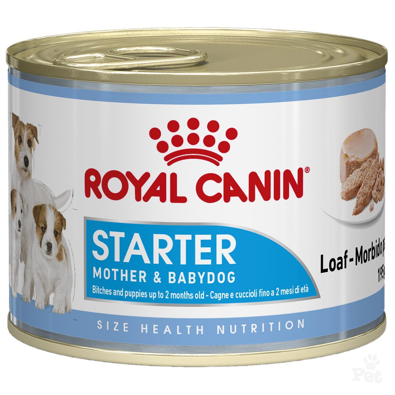 Royal Canin Starter Mother & Babydog koiralle 195 g MAISTELUPAKKAUS