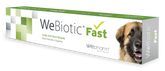 Wepharm WeBiotic Fast oraalipasta koiralle ja kissalle 60 ml